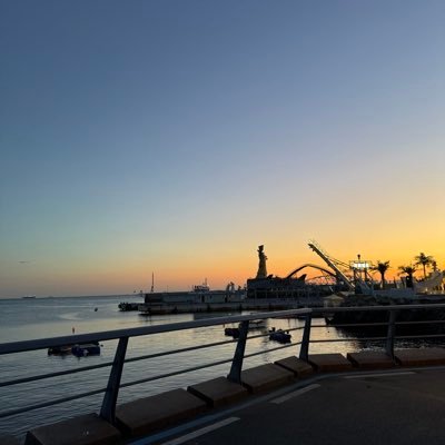 haoxingkun21793's profile picture. 