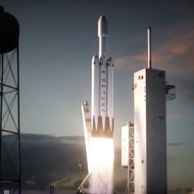 elonmusk89277's profile picture. 