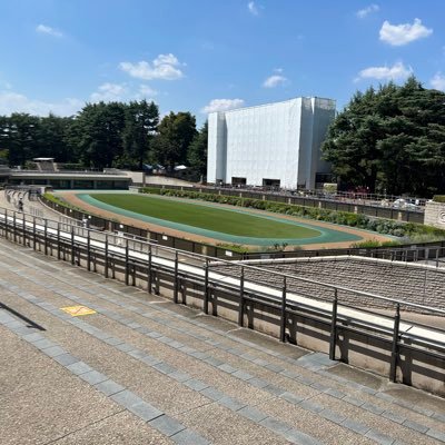 ma_nb8c's profile picture. 競馬にお熱