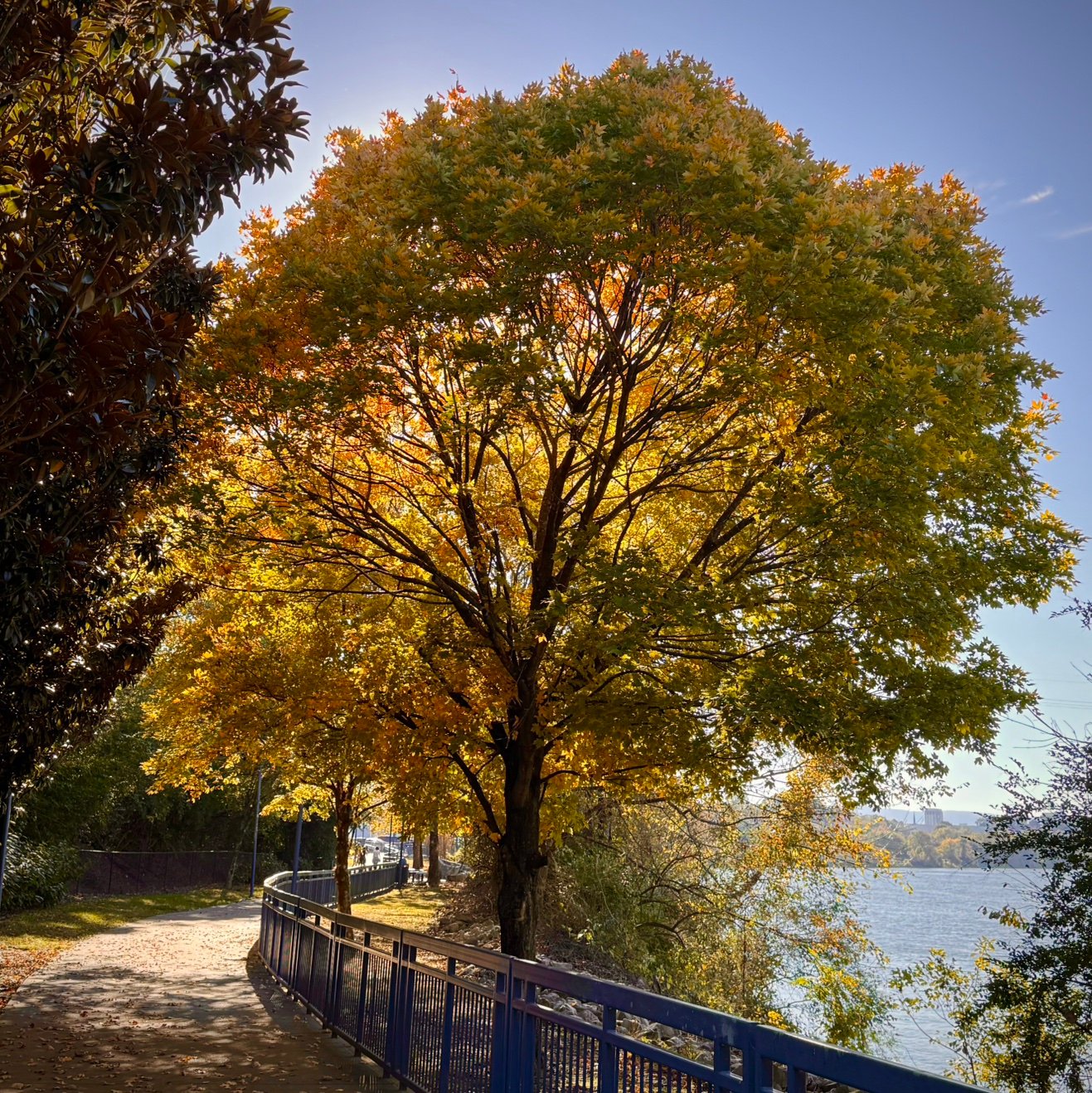 KSchreiner60's profile picture. 