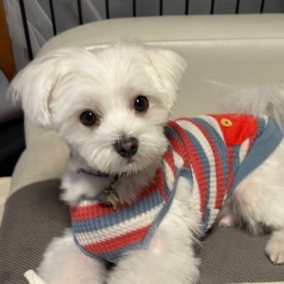 toypuu45's profile picture. 勉強垢/みやざき塾'23年🈴#FP2級　#整理収納アカデミアマスター #宅建士 #英語　＃TOEIC #バリ島 #家が好き #主体的 #宅建みやざき塾  #大家  #エフィカシー高く ＃一生勉強