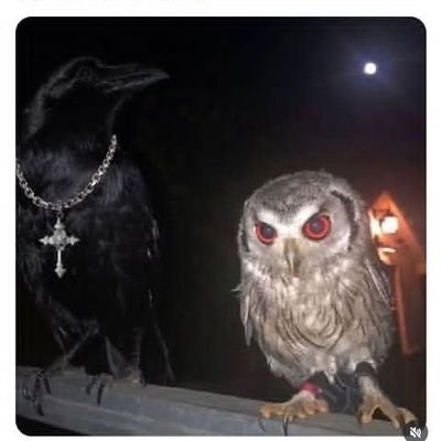 ItsOkinda's profile picture. 