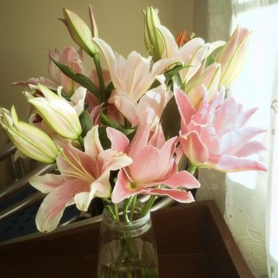 Ssiayle's profile picture. 🍃🍵