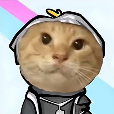 iduannx's profile picture. 守护 #哈基米 CTO成员（不敢再熬夜了版）