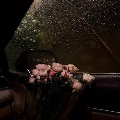 space1140's profile picture. the beauty you spot in everything around you is a reflection of the beauty within you ،.       اعيش على☕️🍵