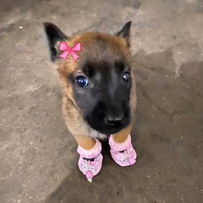 uzmk_gogum's profile picture. 