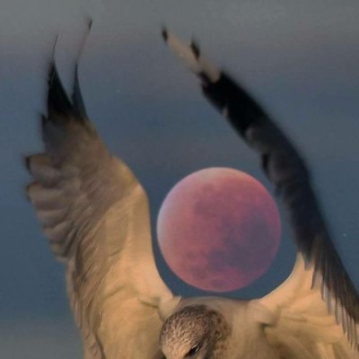 0xHerald's profile picture. " ͏͏͏͏͏ ͏͏͏͏ ͏ ͏͏͏͏ ͏ ͏͏͏͏͏͏͏ ͏͏͏͏͏ ͏͏͏͏ ͏ ͏͏͏͏͏͏͏͏͏͏͏͏͏͏͏͏͏͏ ͏ ͏͏͏͏ ͏ ͏͏͏͏͏"