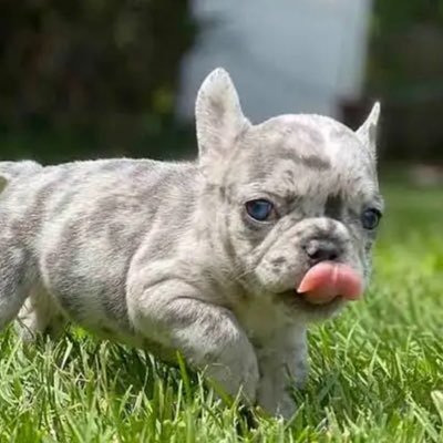 BigCatajane's profile picture. Sex is my favorite