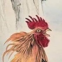 TATtellnd's profile picture. 