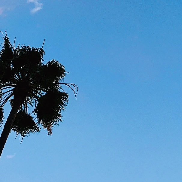 Kaiflow_'s profile picture. breeze