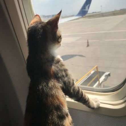 KimkatVii's profile picture. Romans 10:9🙏🇺🇸🙏 #Pinelands🌲🌲Your friends will become an army, secret, invisible, mighty💕God still has a way of wringing Good out of Evil #MLK 🇺🇸🇺🇸