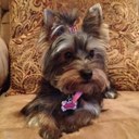 Lashanda McMahon - @Creolemom7 - Twitter