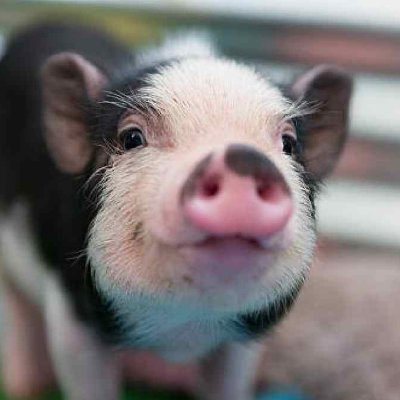 LaPacifiKa's profile picture. Progresista #ProgresistaSigueProgresista 
Ivan Cepeda Presidente 2026