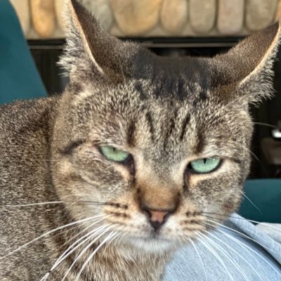 FriendIsrael65's profile picture. 🇮🇱Am Israel Chai. #BringThemAllhomeNow