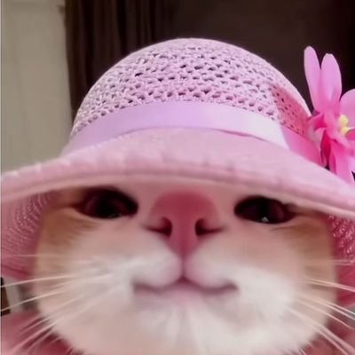 timazkii21's profile picture. 🇨🇳🇪🇸🇵🇭