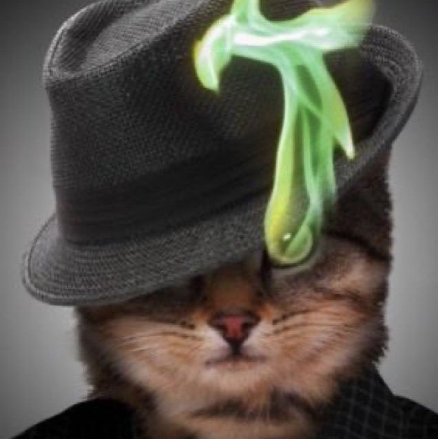 evilasswh1teboy's profile picture. 18+ / Married / Furry Artist? / Fuzzy-bellied Bear / I play CSGO and I love my friends & family / I’m unironically sexually attracted to trucks (etc.) / MDNI 🔞