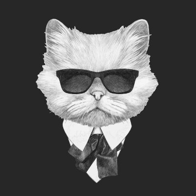 ProfitSndct's profile picture. Influencer / UGC / Streamer friendly. You bring the reach — we bring the rewards. 

Become a @menacedotcom ambassador. DM to get access.