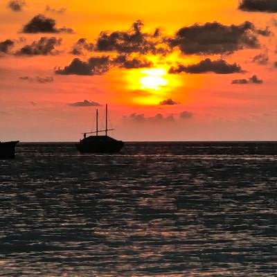 triangleblade64's profile picture. Blade from Handsworth.
Follow me, I'll follow you back.
Don't take comments personally they are only opinions.