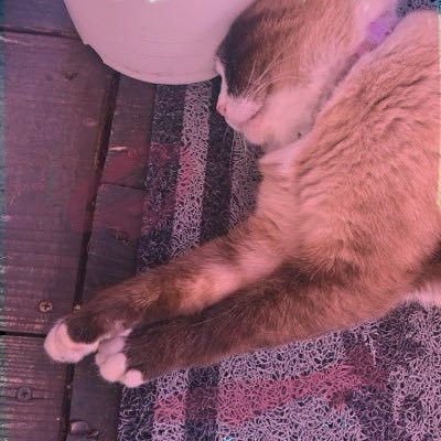 okagesama0021's profile picture. 人との繋がりに感謝！温泉サウナ 美味いものお酒♡ 株アカウント 米株初心者🔰 雰囲気適当イナゴ界隈 $SES $MVST $ZETA $SOFI $NBIS ネビウスしか勝たん！