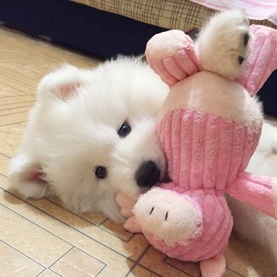 Khunyingwrn's profile picture. ☾⋆~ ตราบใดที่ฉันยังอยู่เธอจะถูกอวยพรอยู่เสมอ🎐☘️@bbil1ypn @babe_in_ 🤍 #BillyBabe 🐶🐽