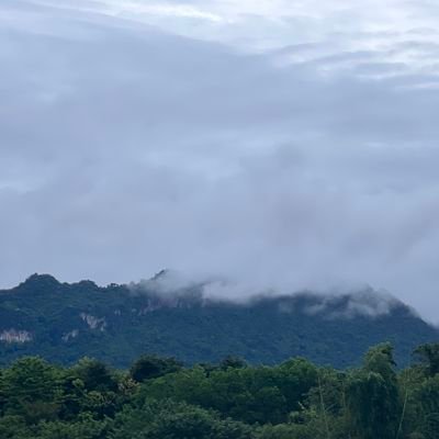 siri_engfa's profile picture. 