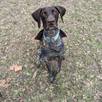 amnight's profile picture. 