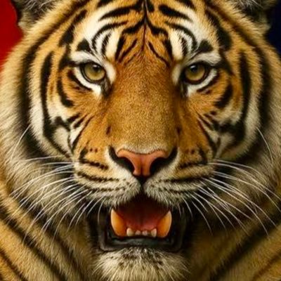 MariaClaud95892's profile picture. 🅴🅻 🅲🅰🅼🅸🅽🅾 🅴🆂 🅷🅰🅲🅸🅰 🅻🅰 🅳🅴🆁🅴🅲🅷🅰 Quiero que Abelardo de la Espriella sea mi Presidente 2026-2030. 🇨🇴 #FirmesPorLaPatria 🇨🇴