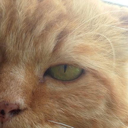 ei_zuminty's profile picture. 🔞🔞🔞this acc is mostly for self favs||

|His favorite hello, indeed, and his hardest goodbye.|