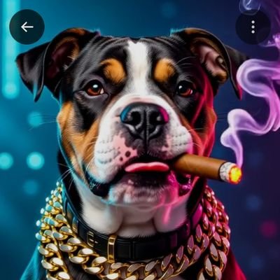 Wayndrous1's profile picture. DeFi investor