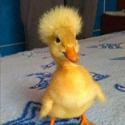 EliteAndrey's profile picture. low cap hunter. https://t.co/oeURROC6Lh                                 telegram: https://t.co/WQOz2qi6Sv