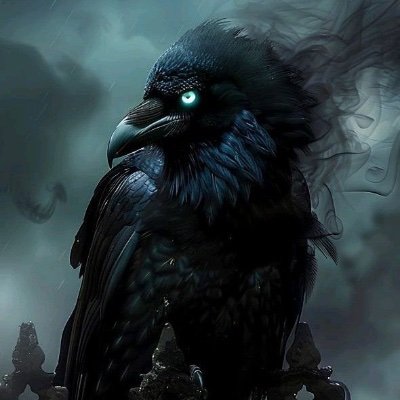 Rave4Raven's profile picture. 