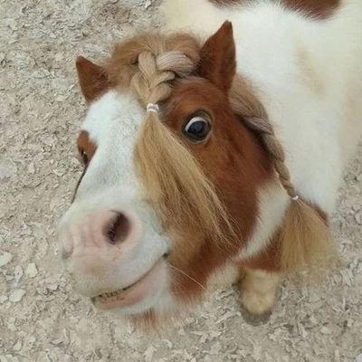 hejismilo's profile picture. 