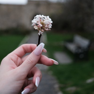 b1eus's profile picture. CEO & Creative Director. Investor. Part-time product development.