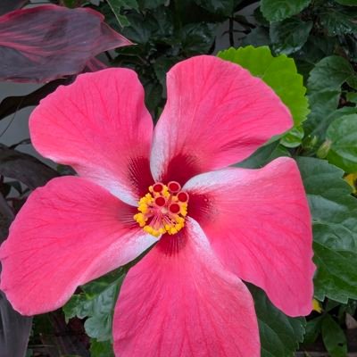 SreyPhea291970's profile picture. 