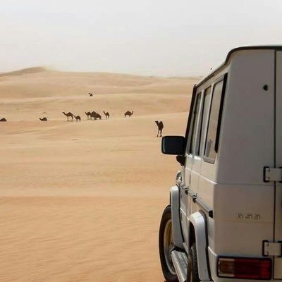 usereuk's profile picture. اللهم صلِّ وسلم على نبينا محمد