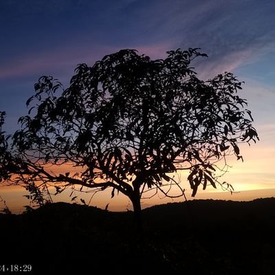 YeramAnant's profile picture. Something Different Each and every Day ✨