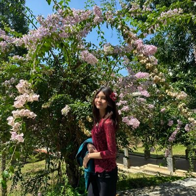 vincacchi's profile picture. 