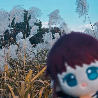 Geuntori's profile picture. バンド&バンドアニメが好きです。
ボザロ、ガルクラ、Mygoきです。
韓国人なので翻訳機を使っています。
無言フォロー失礼&歓迎します。 よろしくお願いします。
