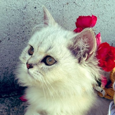 bee057357's profile picture. 