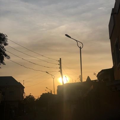 devfx16254's profile picture. 