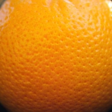 mirithib's profile picture. こんにちは、ミラクルみちるです！こちらは基本参政党に投票する、投票推進団体です。
全日『反グローバリズム』の会 https://t.co/fMqyas75IY