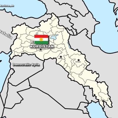 serxwebuna99482's profile picture. 