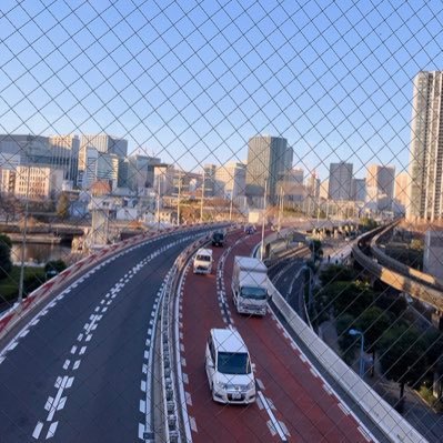 lightxflowerx5's profile picture. 