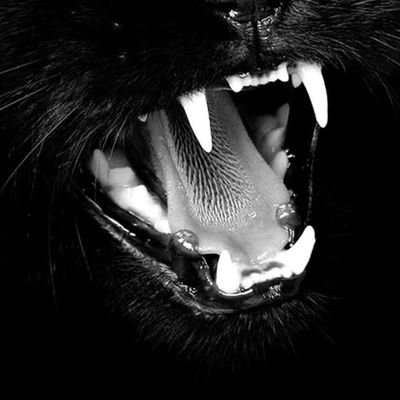 Sailor_1985's profile picture. 