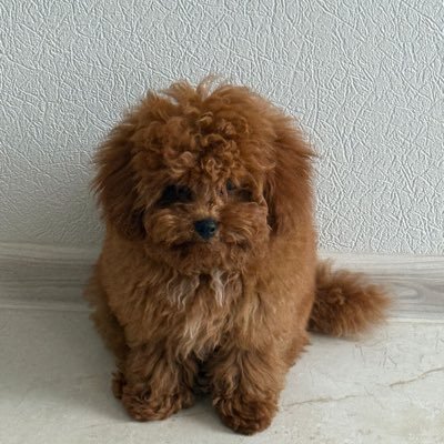 AlgrenFb's profile picture. 