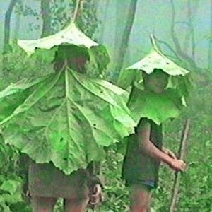 Mr_mimikens's profile picture. I'm nobody, really, maybe someday I'll be somebody