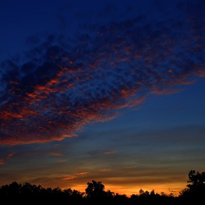 lotussmile77's profile picture. 