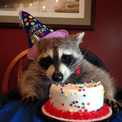 lammgs's profile picture. 