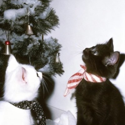 0seulgi_'s profile picture. NICU看護師      助産師目指しています