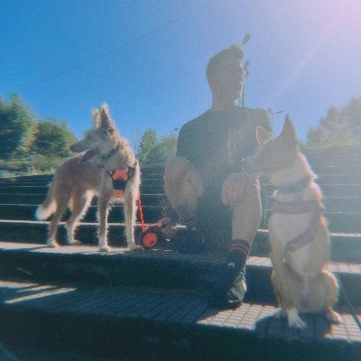 alfonsuroj's profile picture. • happily married • crossfit enjoyer • self-published author • plant eater • a ghost in the making • 'A Wreath of Nauseas' available now on Kindle •